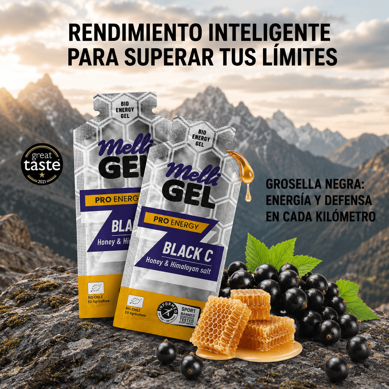 MElliGel Grosella Negra